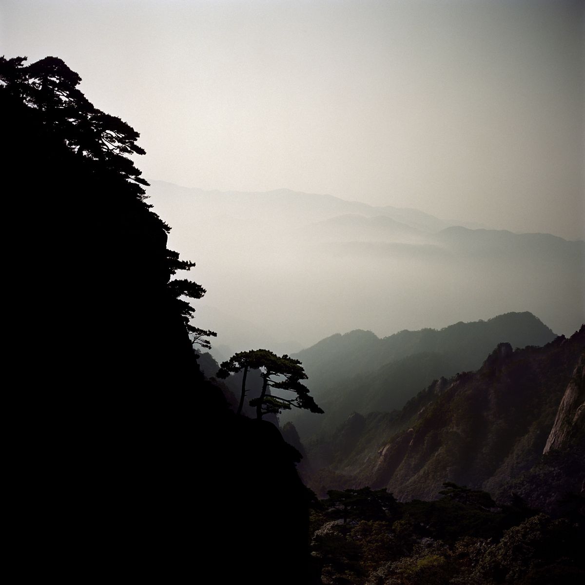Fullmoon_The Sea of Clouds?qlt